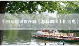 手机信息设置在哪（怎样调出手机信息）