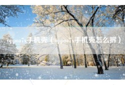 oppoa7x手机壳（oppoa7x手机壳怎么拆）