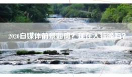 2020自媒体前景如何？现在入行晚吗？