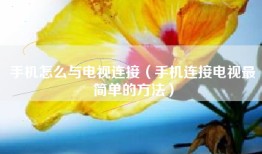 手机怎么与电视连接（手机连接电视最简单的方法）
