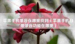 苹果手机录音在哪里找到(苹果手机自带录音功能在哪里)