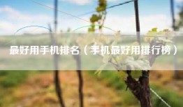 最好用手机排名（手机最好用排行榜）
