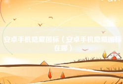 安卓手机隐藏图标（安卓手机隐藏图标在哪）