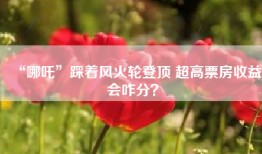 “哪吒”踩着风火轮登顶 超高票房收益会咋分？