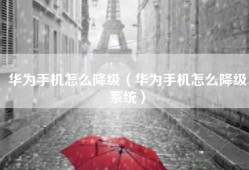 华为手机怎么降级（华为手机怎么降级系统）