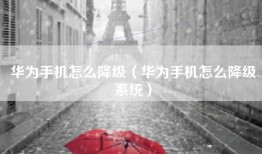 华为手机怎么降级（华为手机怎么降级系统）