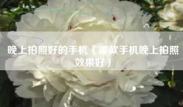 晚上拍照好的手机（哪款手机晚上拍照效果好）