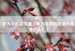 华为手机的发展（华为手机的发展历程是什么？）