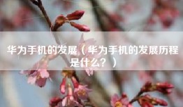 华为手机的发展（华为手机的发展历程是什么？）