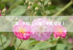 三星5s手机（三星s5手机壁纸）
