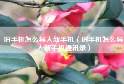 旧手机怎么导入新手机（旧手机怎么导入新手机通讯录）