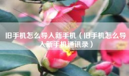 旧手机怎么导入新手机（旧手机怎么导入新手机通讯录）