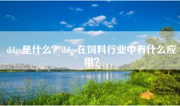 ddgs是什么？ddgs在饲料行业中有什么应用？