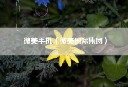 微美手机（微美国际集团）