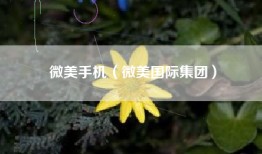 微美手机（微美国际集团）
