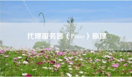 代理服务器（Proxy）原理