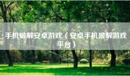 手机破解安卓游戏（安卓手机破解游戏平台）