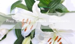 Proxy Master - free unblock  &security;