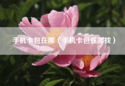 手机卡包在哪（手机卡包在哪找）
