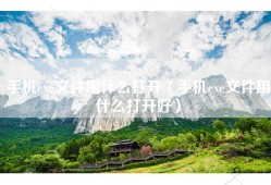 手机exe文件用什么打开（手机exe文件用什么打开好）