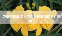 荣耀手机截屏（荣耀手机截屏图片在哪里）