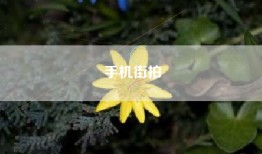 手机街拍
