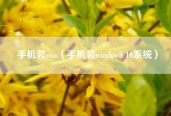 手机装win（手机装windowS 10系统）