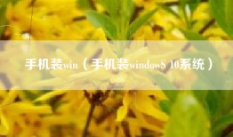 手机装win（手机装windowS 10系统）