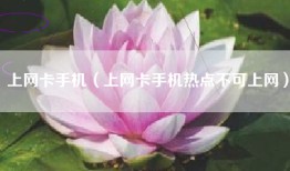 上网卡手机（上网卡手机热点不可上网）