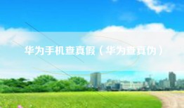 华为手机查真假（华为查真伪）