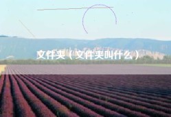 文件夹（文件夹叫什么）