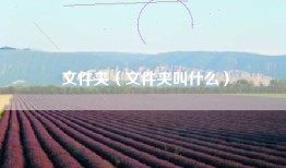 文件夹（文件夹叫什么）