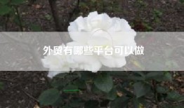 外贸有哪些平台可以做