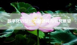 数字化转型：文献述评与研究展望