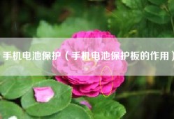 手机电池保护（手机电池保护板的作用）