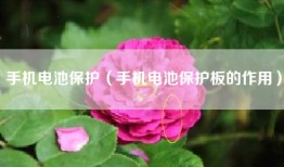 手机电池保护（手机电池保护板的作用）