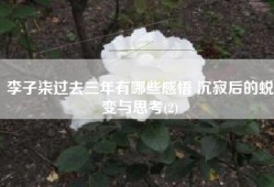 李子柒过去三年有哪些感悟 沉寂后的蜕变与思考(2)