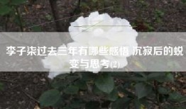 李子柒过去三年有哪些感悟 沉寂后的蜕变与思考(2)