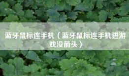 蓝牙鼠标连手机（蓝牙鼠标连手机进游戏没箭头）