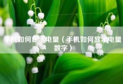 手机如何显示电量（手机如何显示电量数字）