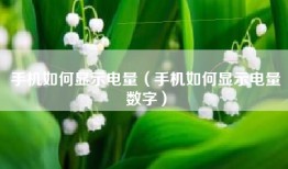 手机如何显示电量(手机如何显示电量数字)