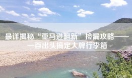 最详揭秘“亚马逊翻新”捡漏攻略——一百出头搞定大牌行李箱