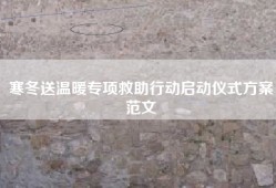 寒冬送温暖专项救助行动启动仪式方案范文