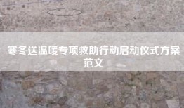 寒冬送温暖专项救助行动启动仪式方案范文