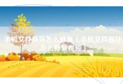 手机文件损坏怎么修复（手机文件损坏怎么修复视频）