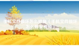 手机文件损坏怎么修复（手机文件损坏怎么修复视频）