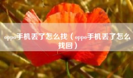 oppo手机丢了怎么找（oppo手机丢了怎么找回）