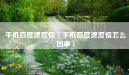 手机百度速度慢（手机百度速度慢怎么回事）