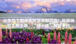 山东首个数币实验室亮相济南！应用场景不断上新，“碰一碰”就能支付