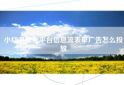 小红书聚光平台信息流表单广告怎么投放